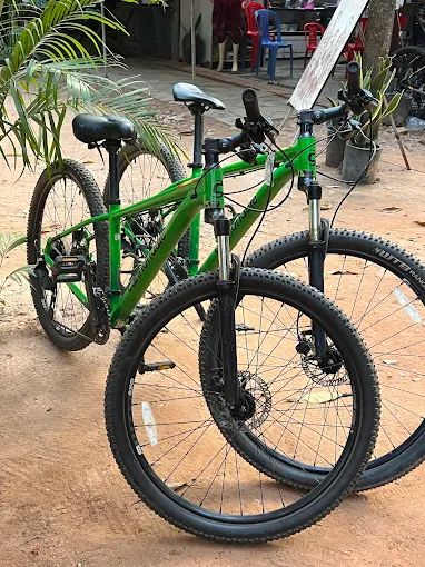 Trek Verve+ 2
